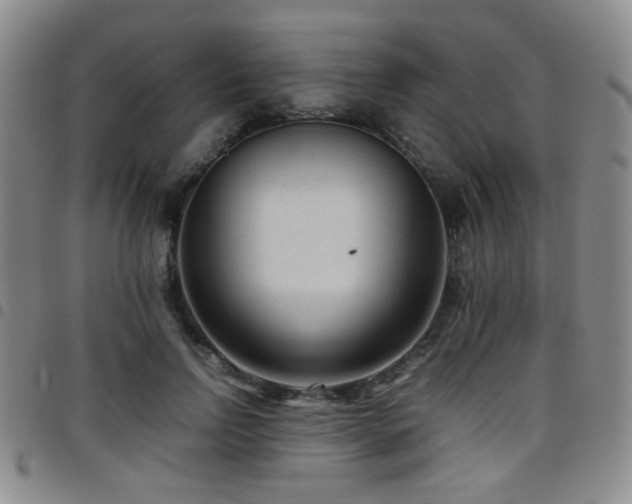 X0000097820742200803141140