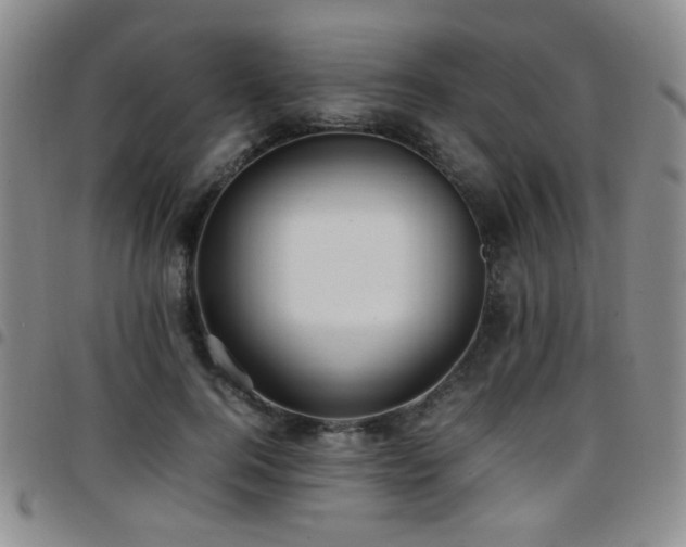 X0000097820744200803141140