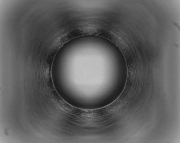 X0000097820745200803141140