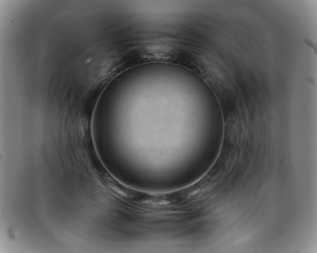 X0000097820747200803141140