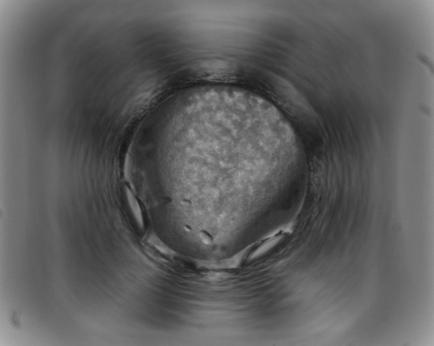 X0000097820748200803141140