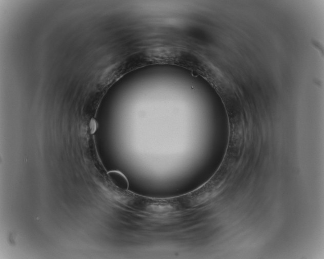 X0000097820749200803141140