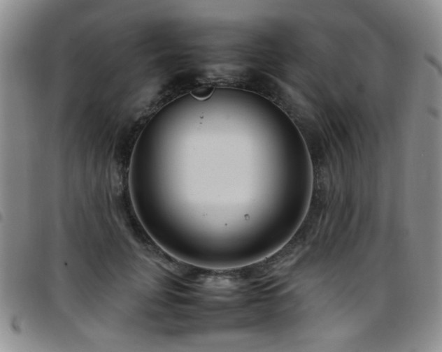 X0000097820751200803141140