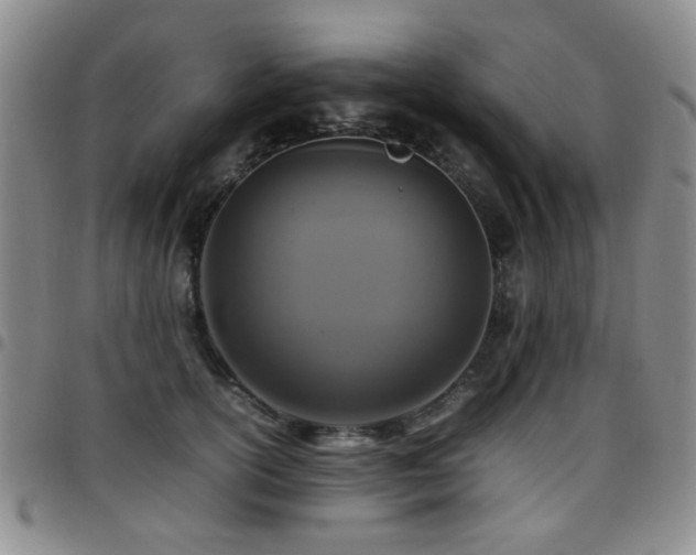 X0000097820754200803141140