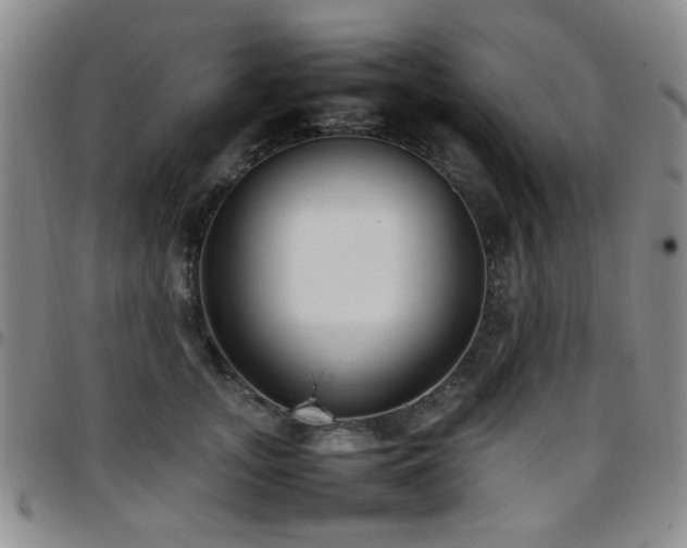 X0000097820755200803141140