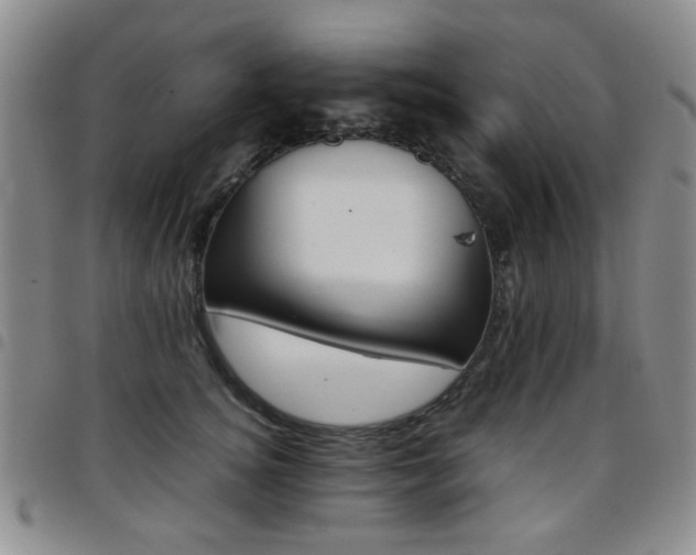 X0000097820756200803141140