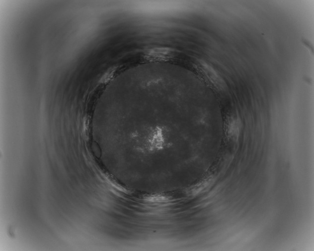 X0000097820759200803141140