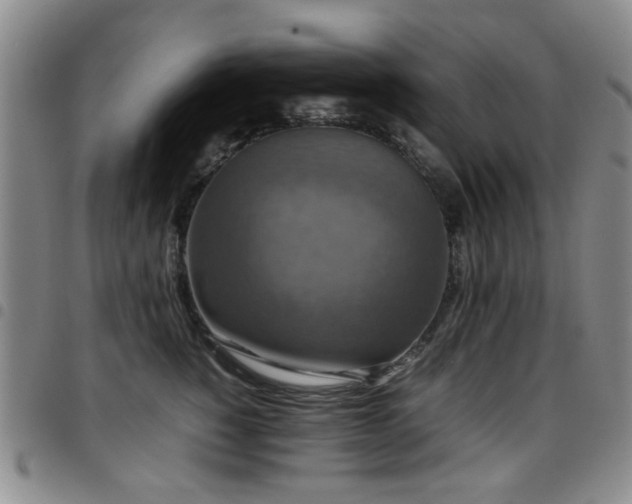 X0000097820760200803141140