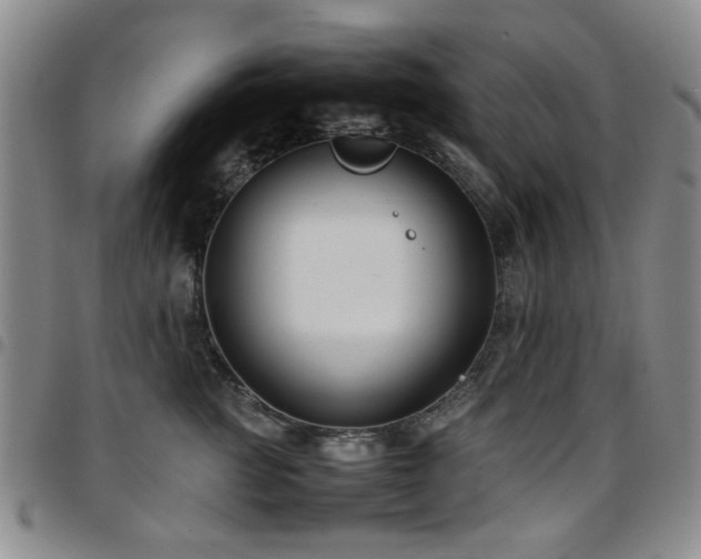 X0000097820761200803141140