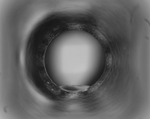 X0000097820764200803141140