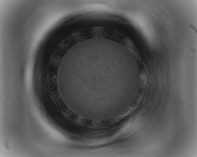 X0000097820765200803141140