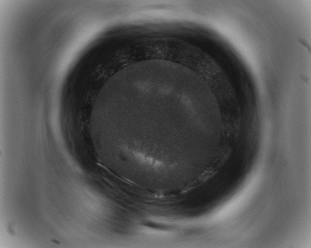 X0000097820766200803141140