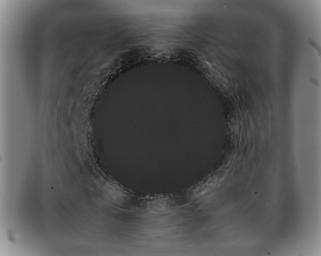 X0000097820769200803141140