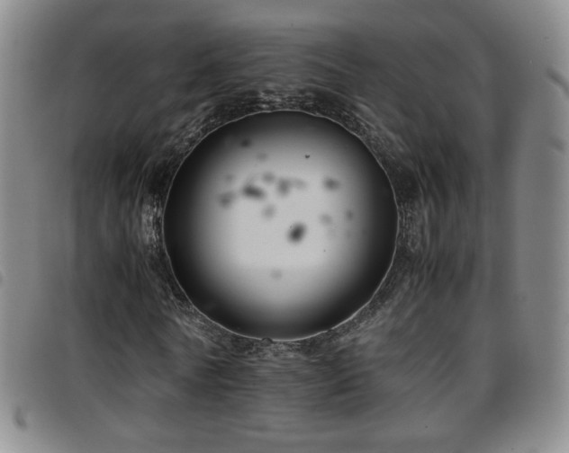 X0000097820770200803141140