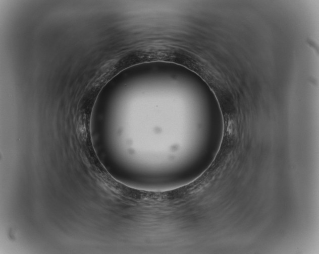 X0000097820771200803141140