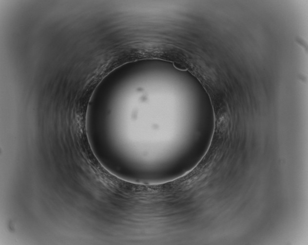 X0000097820772200803141140