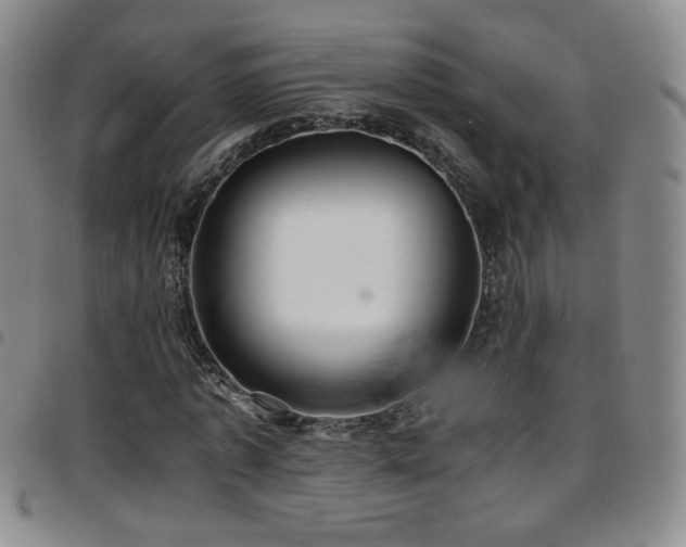 X0000097820773200803141140