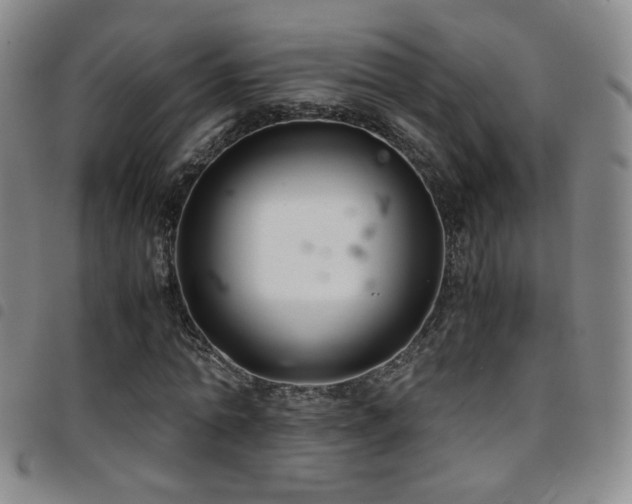 X0000097820774200803141140