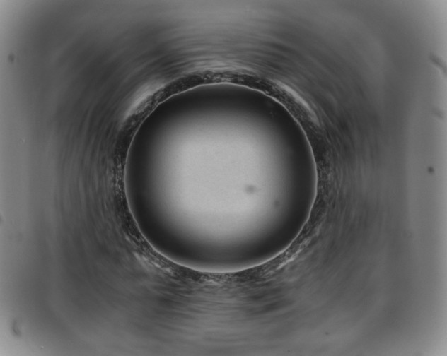 X0000097820775200803141140