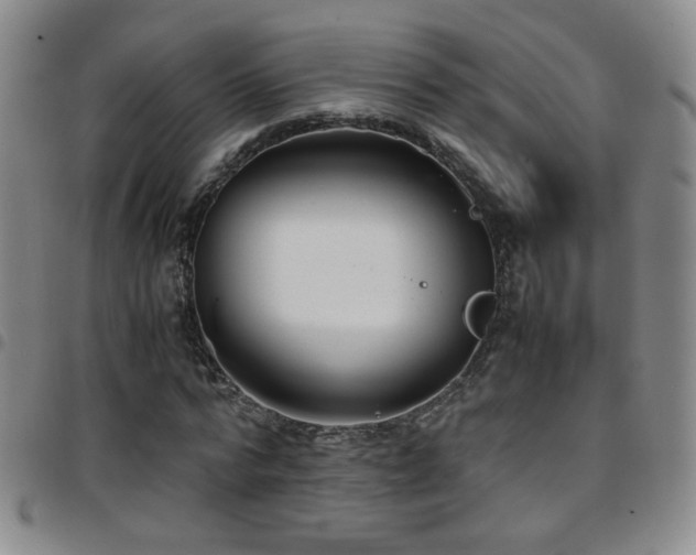 X0000097820776200803141139