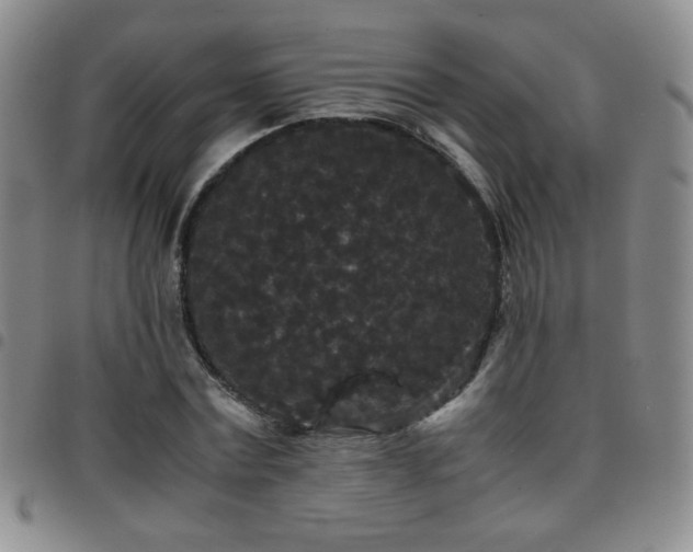 X0000097820779200803141139