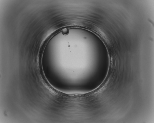 X0000097820780200803141139