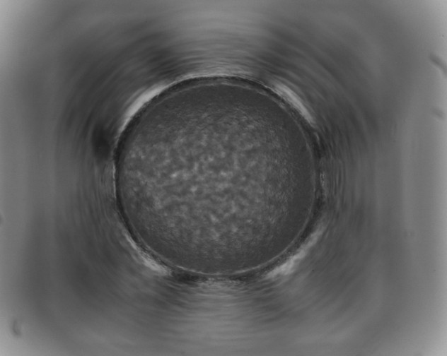 X0000097820781200803141139