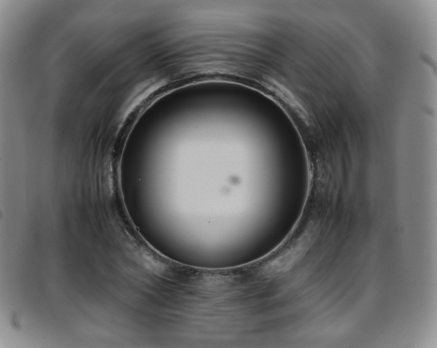 X0000097820782200803141139