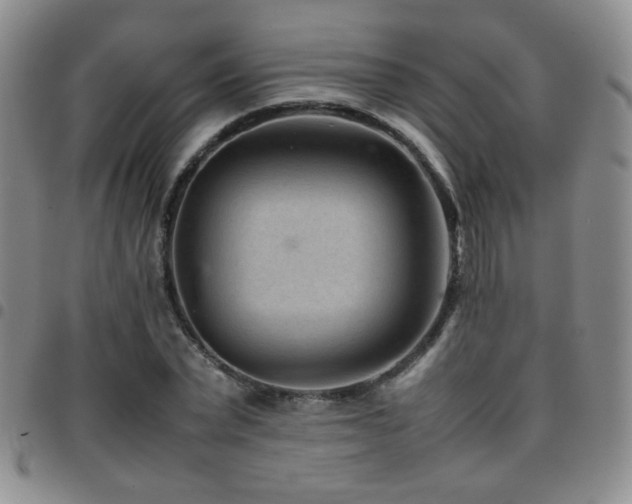 X0000097820783200803141139