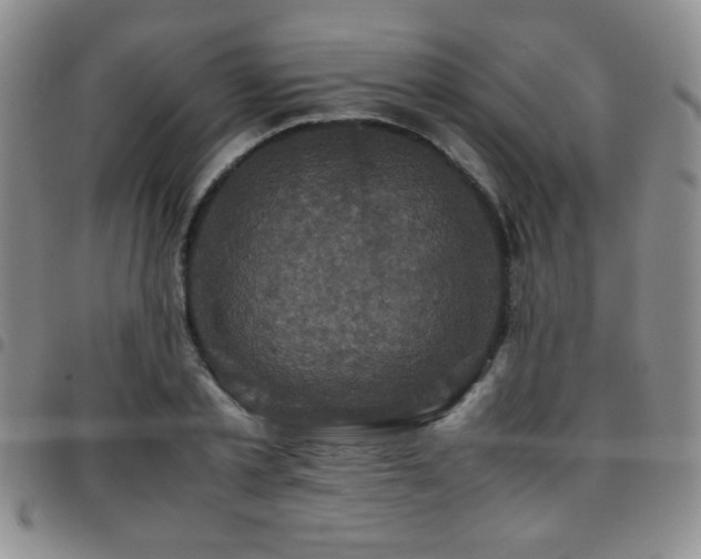 X0000097820789200803141139