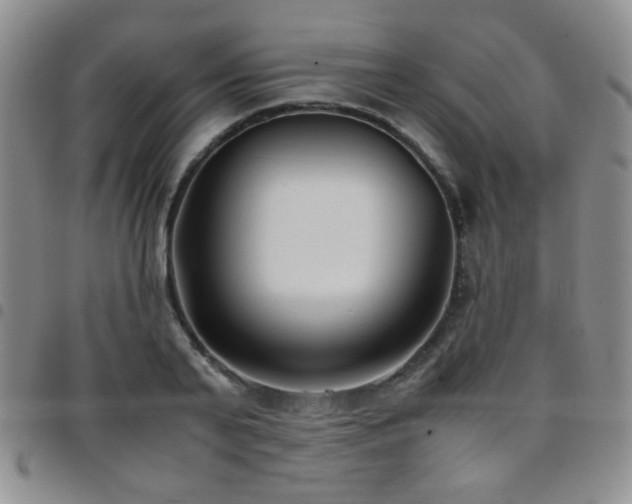 X0000097820791200803141139