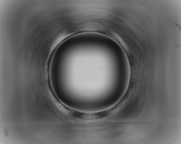 X0000097820795200803141139