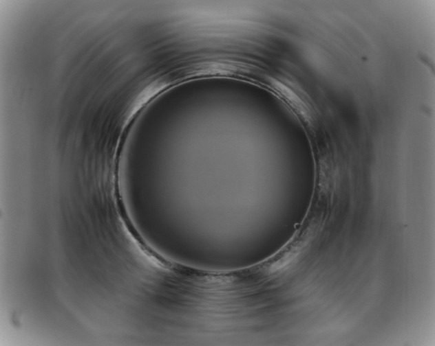 X0000097820802200803141139