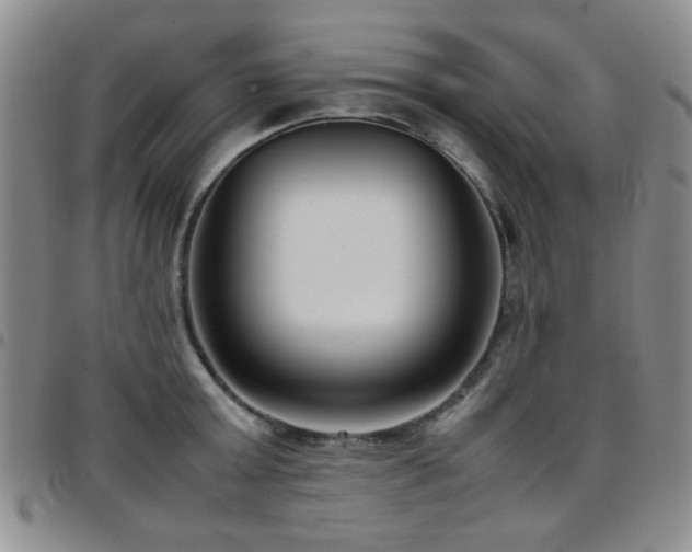 X0000097820803200803141139