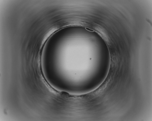 X0000097820804200803141139