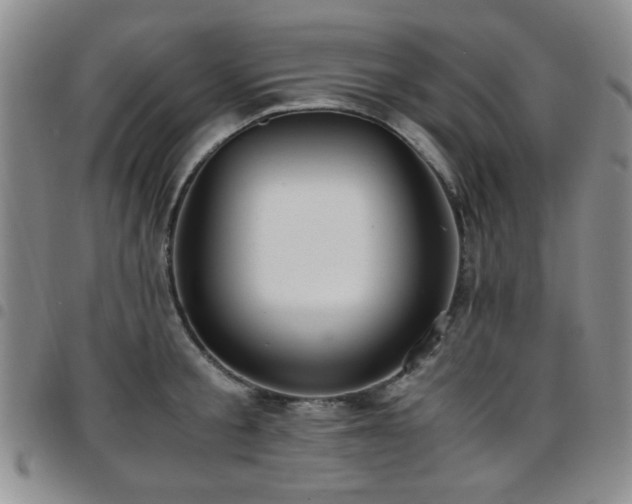 X0000097820805200803141139