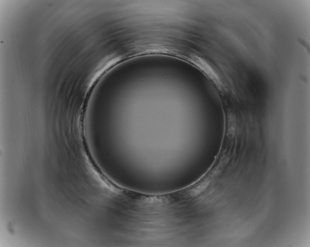 X0000097820806200803141139