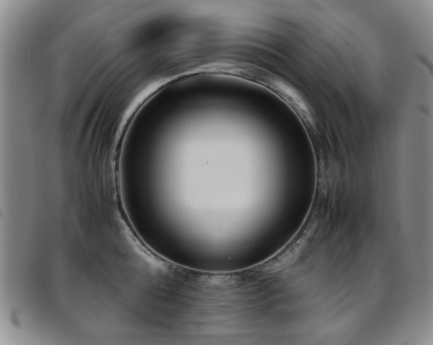 X0000097820808200803141139