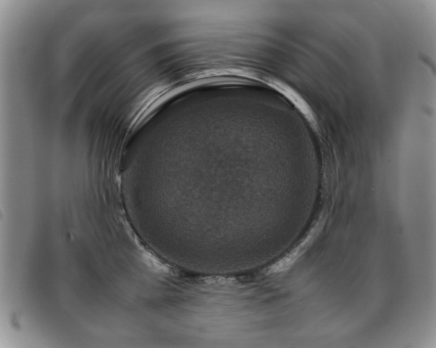 X0000097820809200803141139