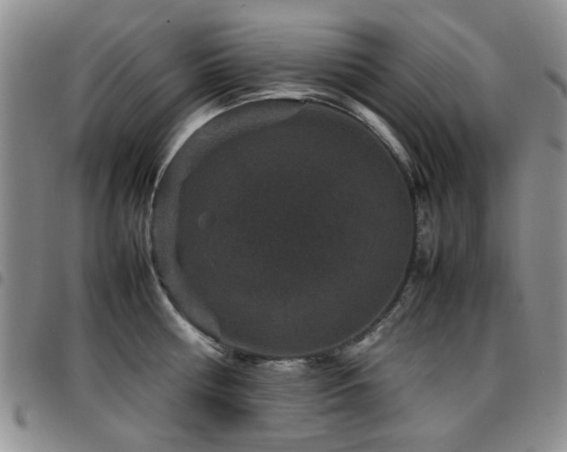 X0000097820810200803141139