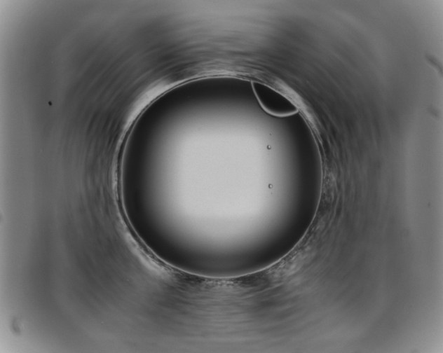 X0000097820811200803141139