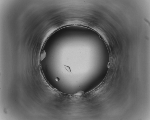 X0000097820815200803141139