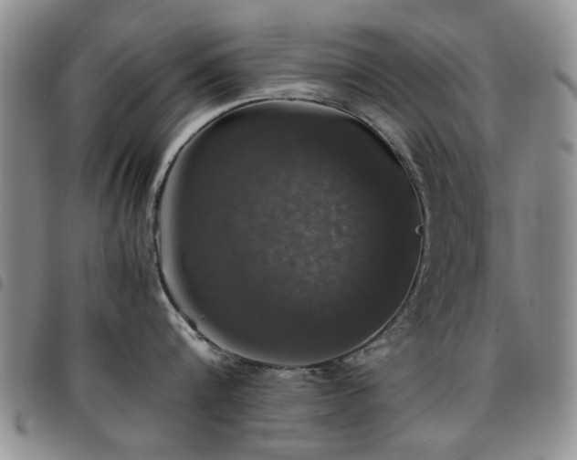 X0000097820816200803141139