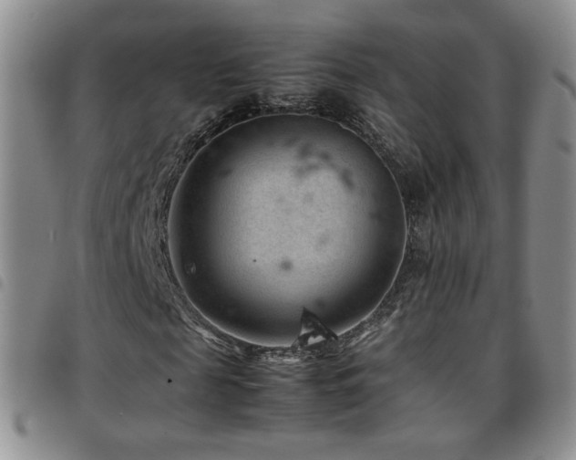 X0000097820817200803141138