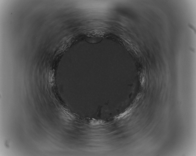 X0000097820818200803141138