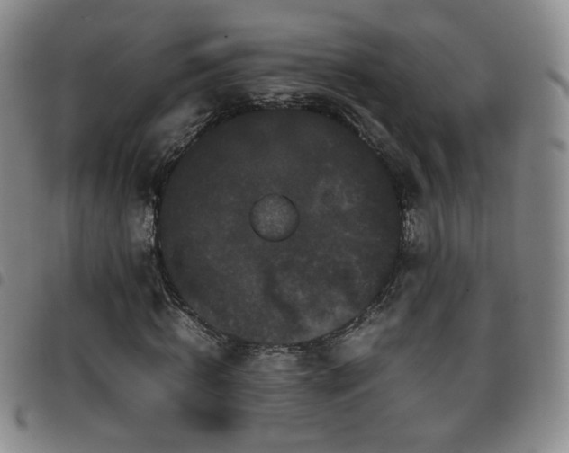 X0000097820820200803141138