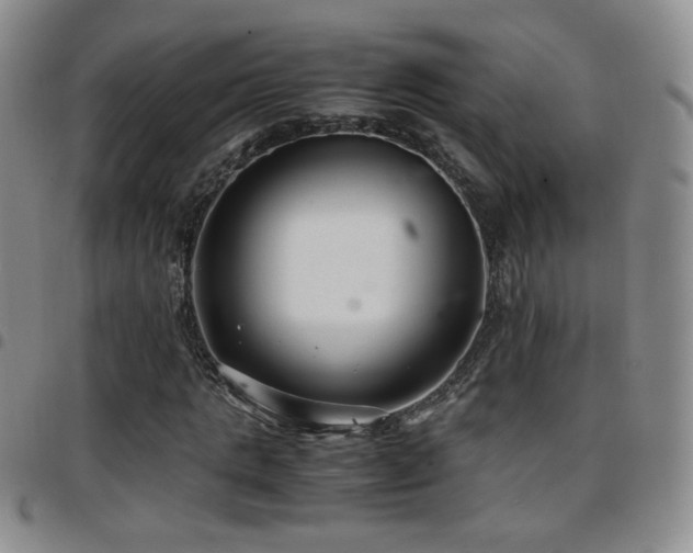 X0000097820821200803141138