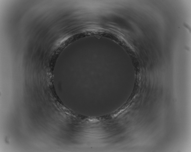 X0000097820822200803141138