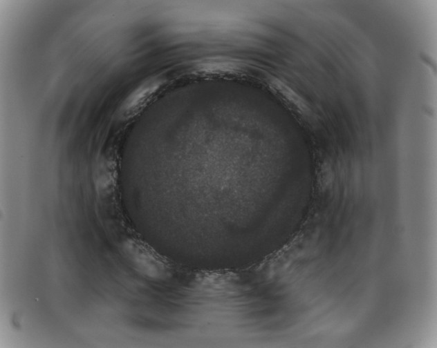 X0000097820824200803141138