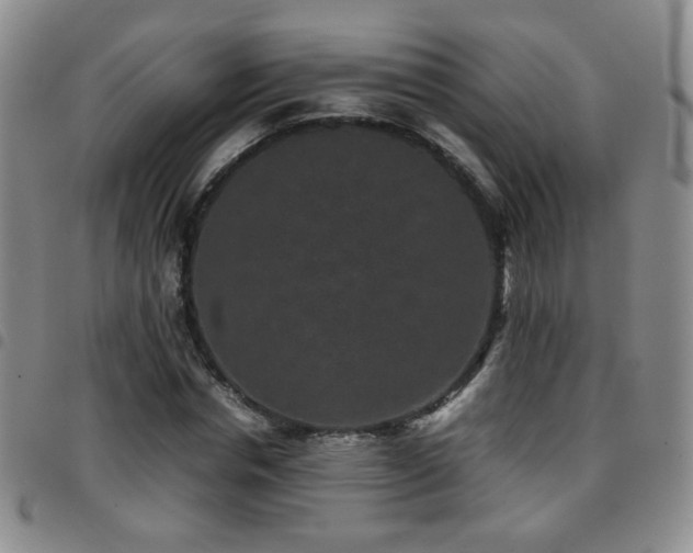 X0000097820826200803141138